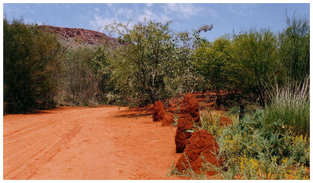 02 - Australie (4).jpg